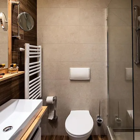 Parkhotel By Steiger 4* 霍恩斯泰因