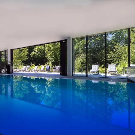 Parkhotel By Steiger 4* 霍恩斯泰因