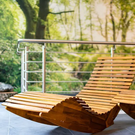 酒店 Parkhotel By Steiger 4*