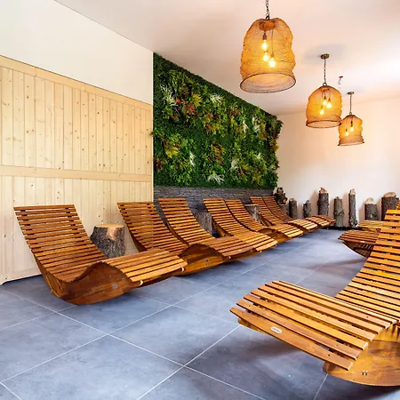 Hotel Gruenkraft By Steiger Hotels Hotel Bad Schandau